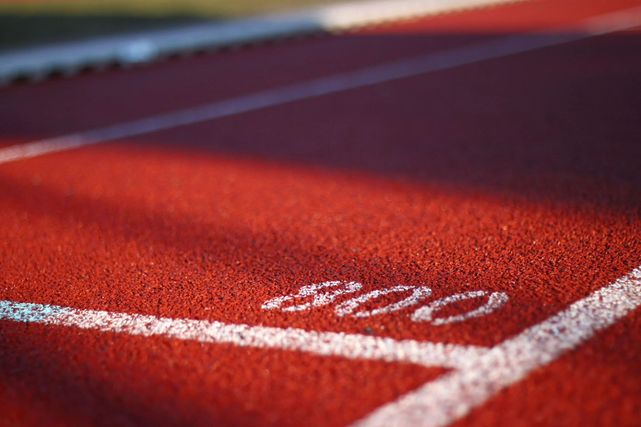 Track lane detail
